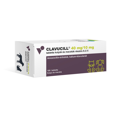 Clavucill 40 mg/10 mg, 10 x 10 tablets