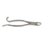 Tooth Forceps For Horses